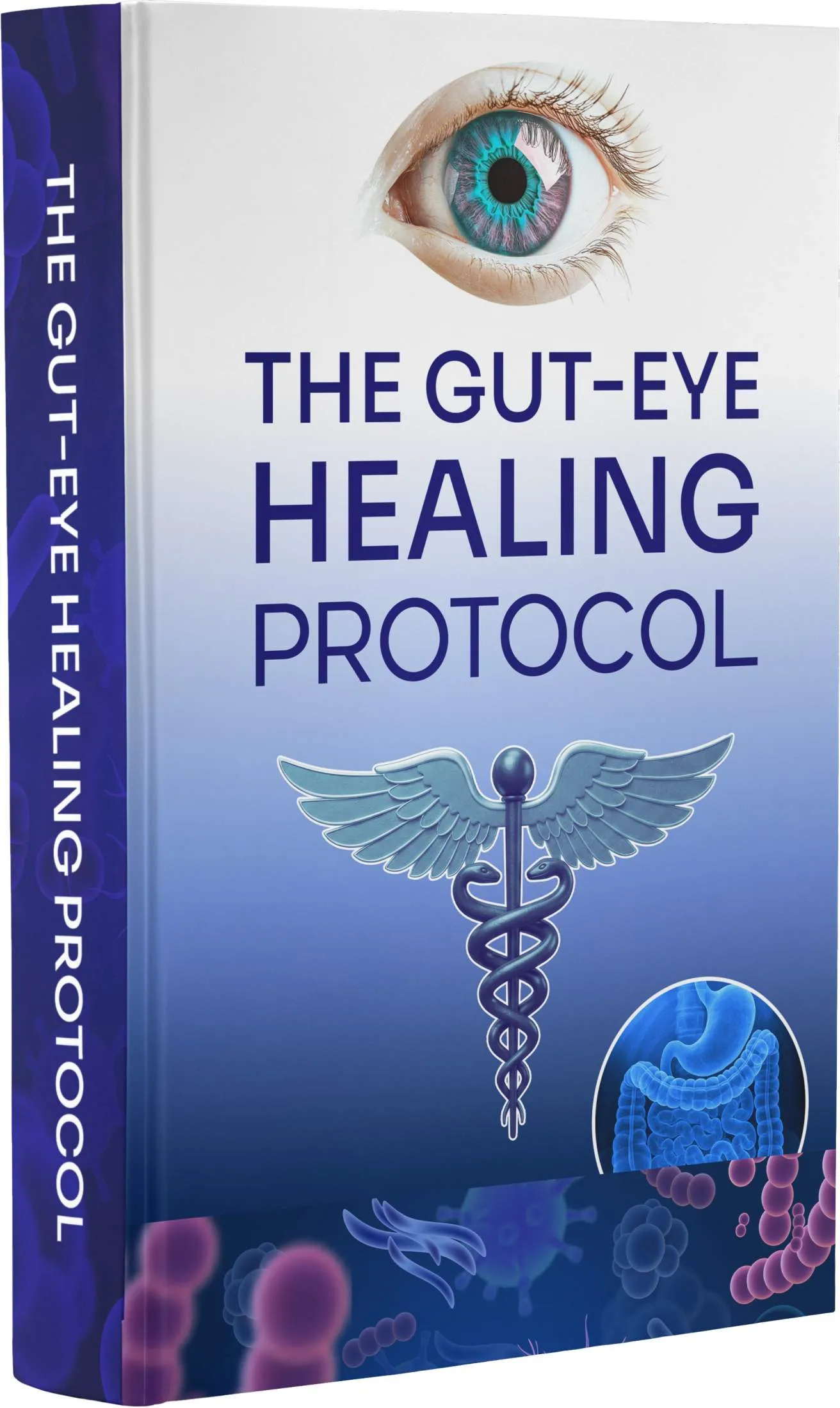 VisiFlora bonus 2 The Gut-Eye Healing Protocol