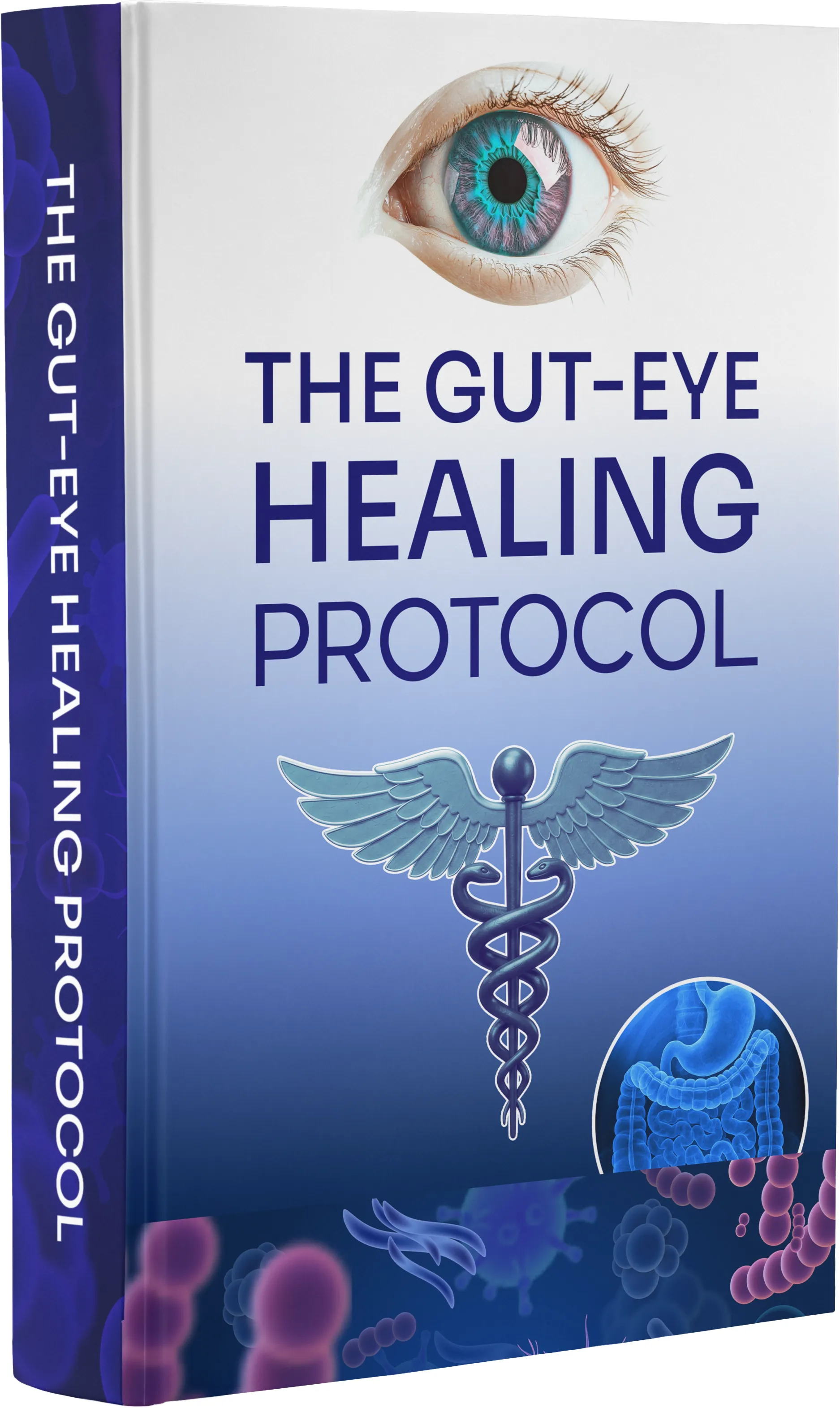 The Gut-Eye Healing Protocol